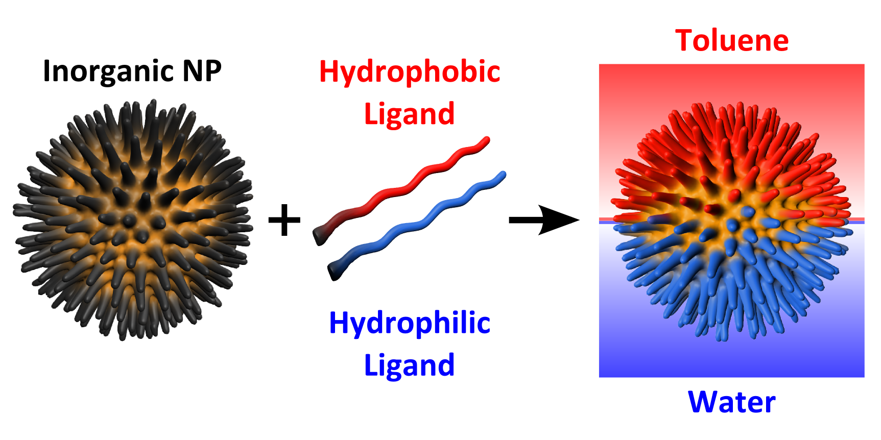 Synthesis of amphiphilic nanoparticles at a liquid-liquid interface. 